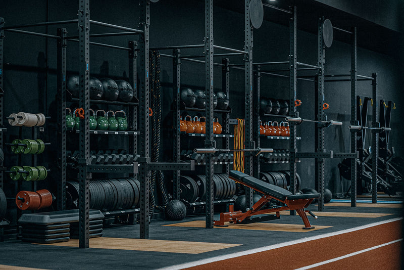 Photo of gym equipment including rig, bench, kettlebells, plates, rowers